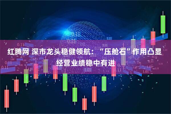 红腾网 深市龙头稳健领航：“压舱石”作用凸显 经营业绩稳中有进
