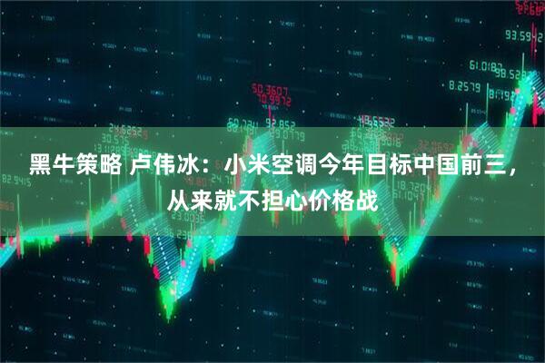 黑牛策略 卢伟冰：小米空调今年目标中国前三，从来就不担心价格战