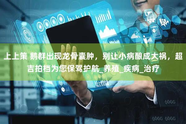 上上策 鹅群出现龙骨囊肿，别让小病酿成大祸，超吉拍档为您保驾护航_养殖_疾病_治疗