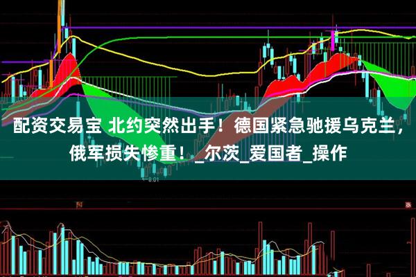 配资交易宝 北约突然出手！德国紧急驰援乌克兰，俄军损失惨重！_尔茨_爱国者_操作