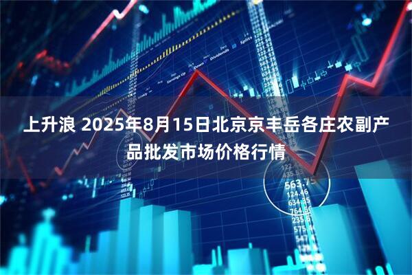 上升浪 2025年8月15日北京京丰岳各庄农副产品批发市场价格行情