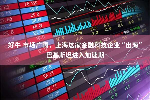 好牛 市场广阔，上海这家金融科技企业“出海”巴基斯坦进入加速期